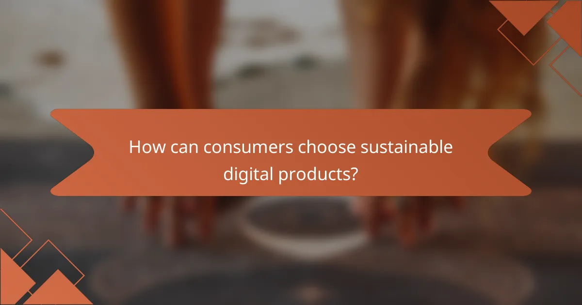 How can consumers choose sustainable digital products?