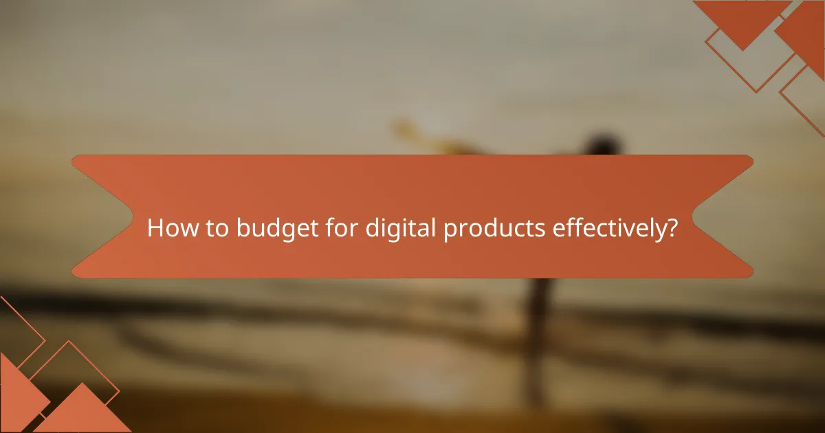 How to budget for digital products effectively?