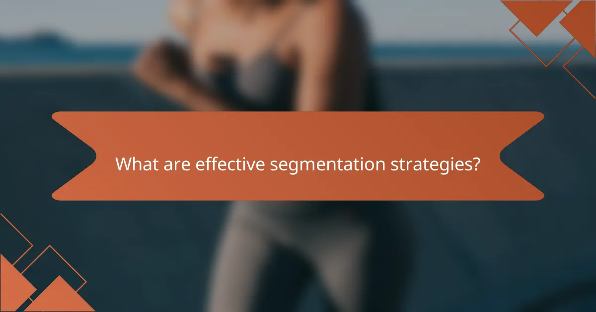 What are effective segmentation strategies?