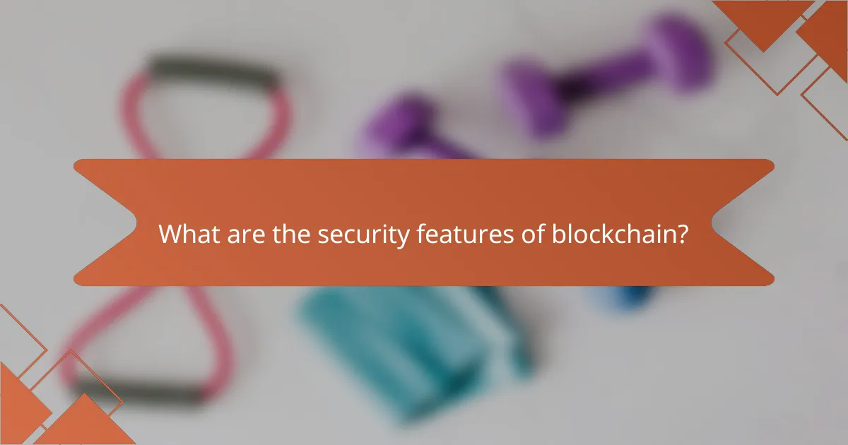 What are the security features of blockchain?
